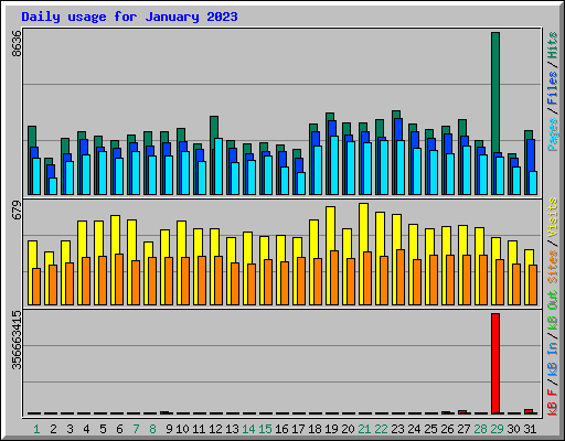 Daily usage for January 2023
