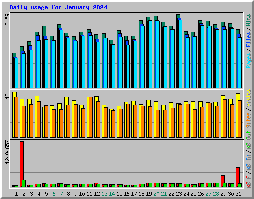 Daily usage for January 2024