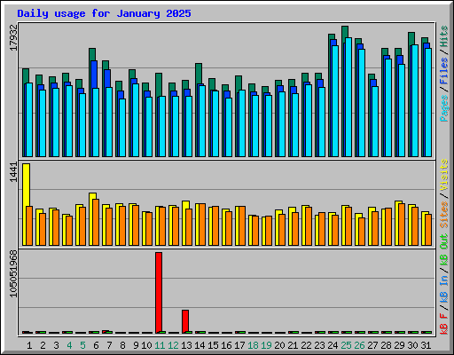 Daily usage for January 2025