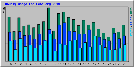 Hourly usage for February 2019