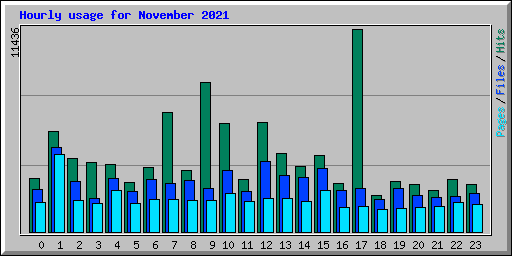 Hourly usage for November 2021