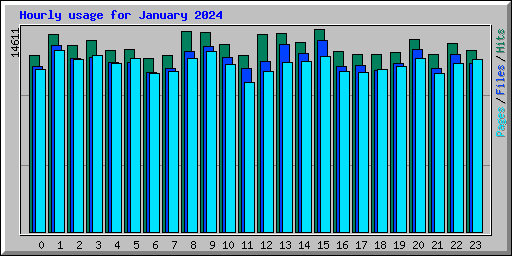 Hourly usage for January 2024