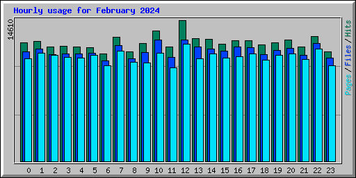 Hourly usage for February 2024