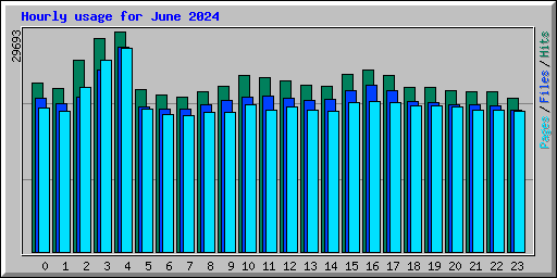 Hourly usage for June 2024