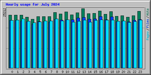 Hourly usage for July 2024