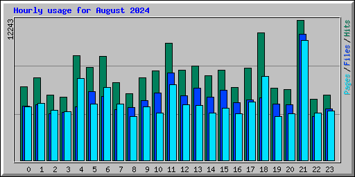 Hourly usage for August 2024