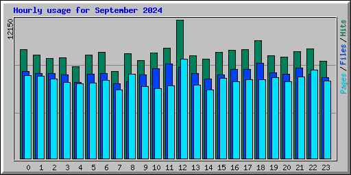 Hourly usage for September 2024