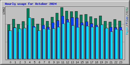 Hourly usage for October 2024