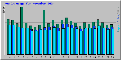 Hourly usage for November 2024