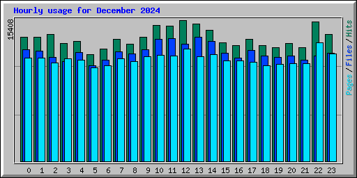 Hourly usage for December 2024