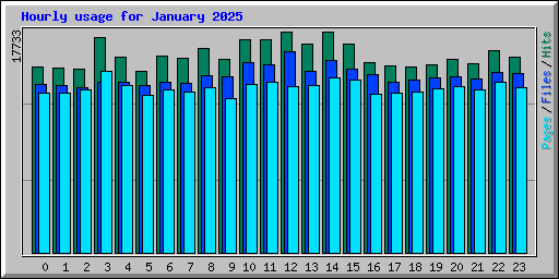 Hourly usage for January 2025
