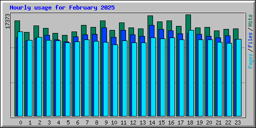 Hourly usage for February 2025