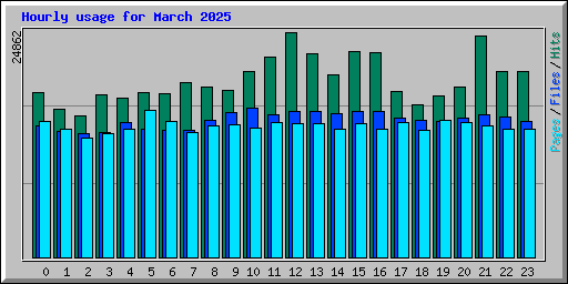 Hourly usage for March 2025