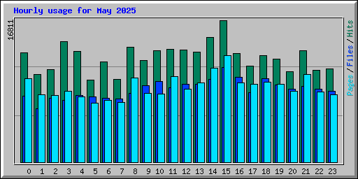 Hourly usage for May 2025