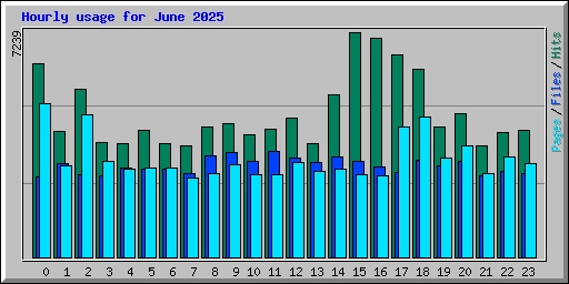 Hourly usage for June 2025