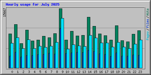 Hourly usage for July 2025