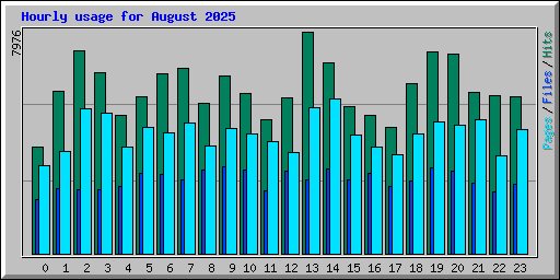 Hourly usage for August 2025