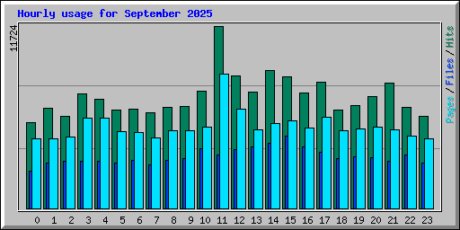 Hourly usage for September 2025