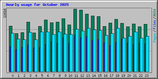 Hourly usage for October 2025