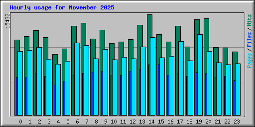 Hourly usage for November 2025