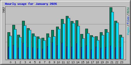 Hourly usage for January 2026
