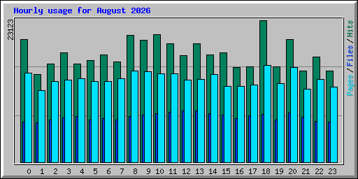 Hourly usage for August 2026